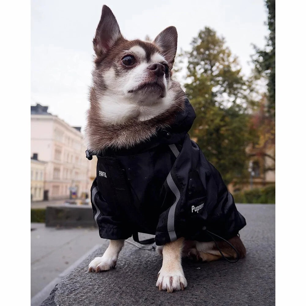 The Dog Face Jacke in 6 verschiedenen Farben